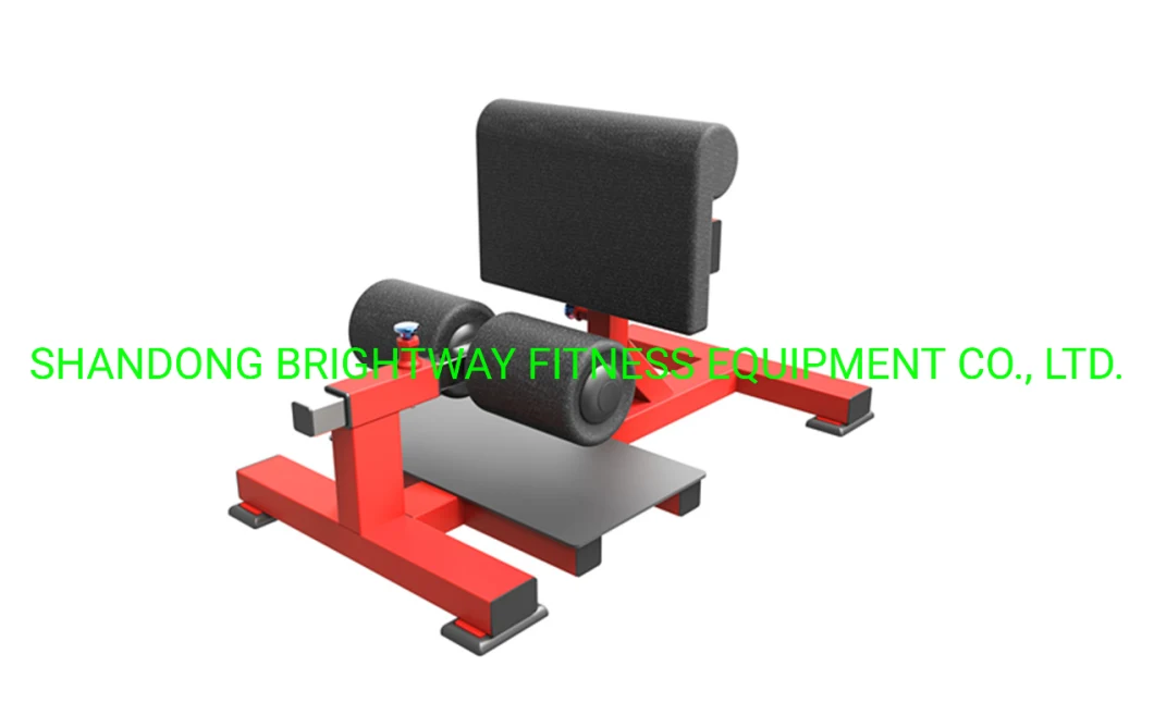 TM92 Abdominal Trainer for Gymnasium Hot Sale Plate Loaded Machine Hammer Strength