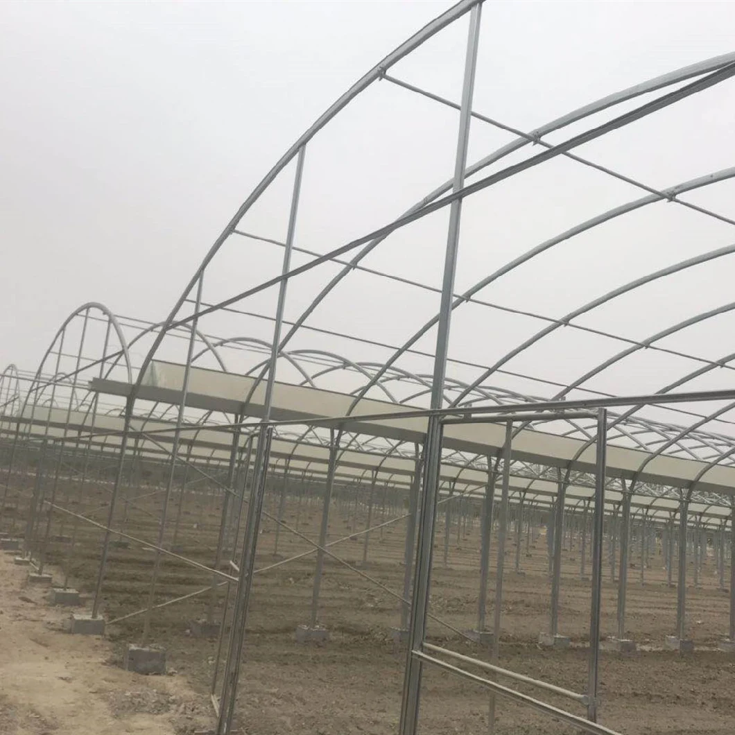 Factory Supply Easily Assembled Elliptical Tube Polytunnel Greenhouse for Sale