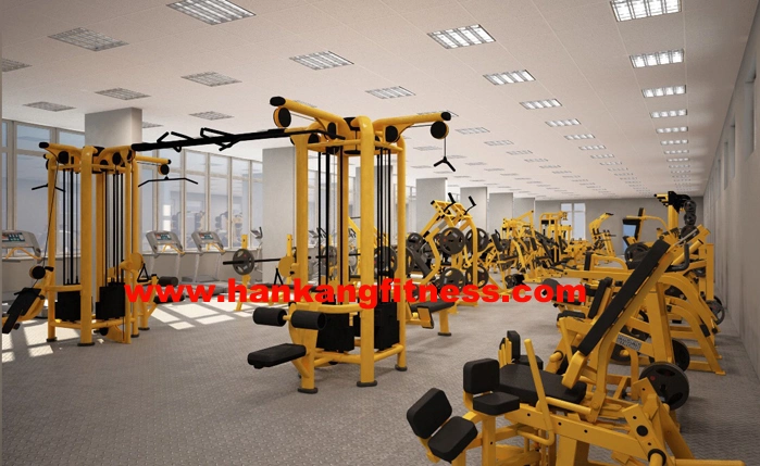 Body Building Machine, Gym Equipment, Body-Building Equipment-Dual Adjustable Pulley (PT-927)
