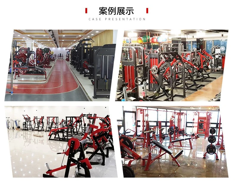 Seated Leg Curl Customized Logo Body Building Workout Gym Fitness Equipment