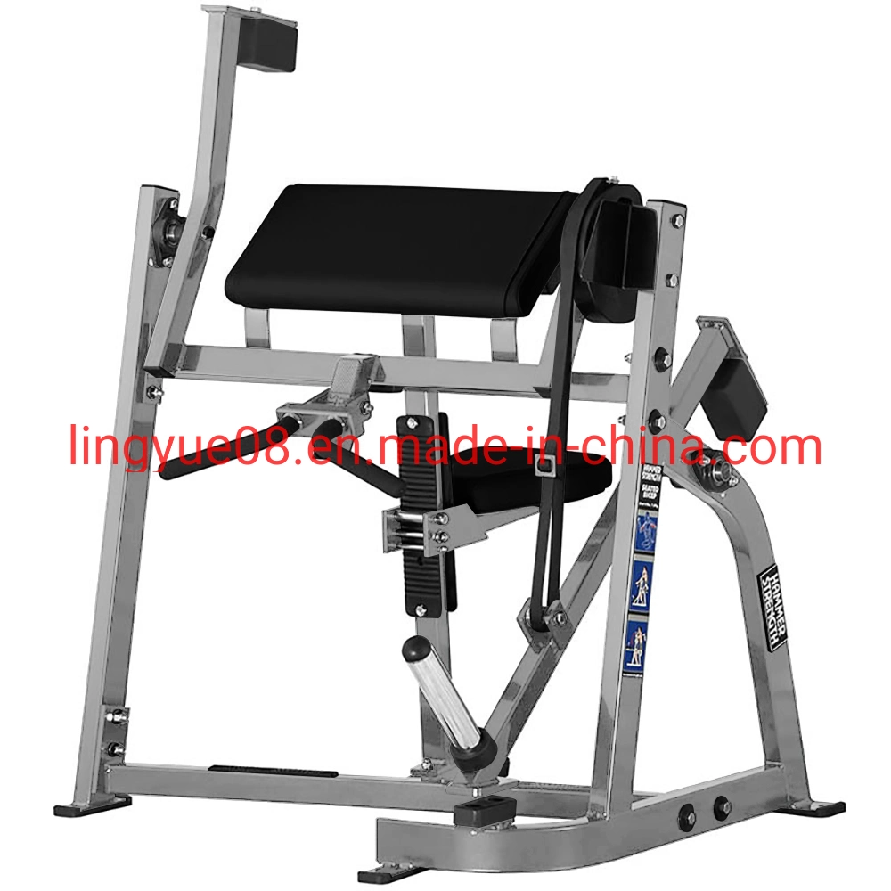 Commercial Life Fitness Gym Club Using Equipment Plate Loaded Hammer Strength Seated Biceps L-919
