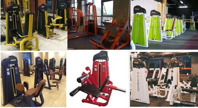 Seated Calf Commercial Fitness Body Building Equipment / Gym Sports Machine