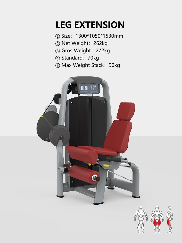 Fitness Equipment Manufacturer, My Gym Fitness Equipment Leg Workout