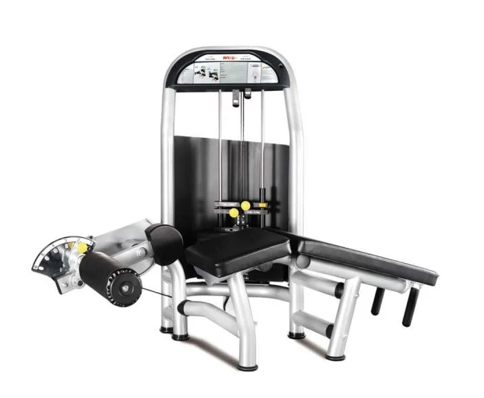 Gym Equipment Exercise Equipment Functions for Leg Curl Exercise
