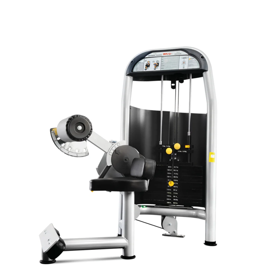 Strength Exercise Commercial Equipment Abdominal Training Machine Gym Fitness Sports in Exercise Club