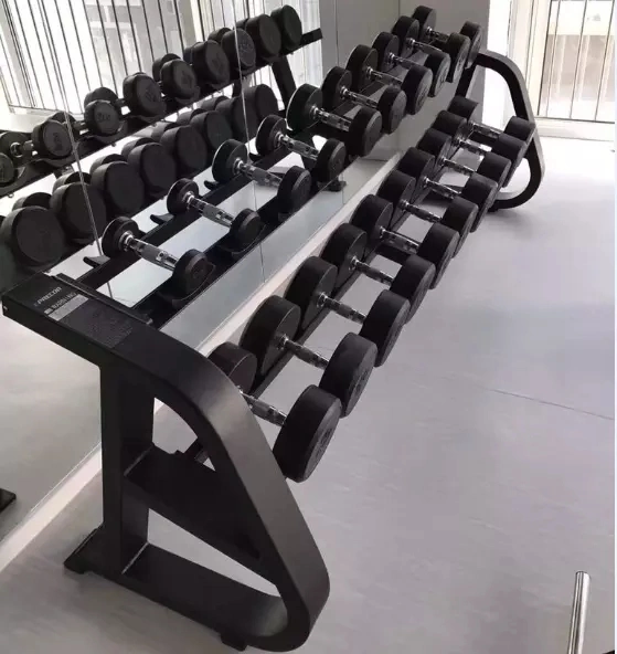 Newest Arrival Commercial Fitness Equipment /Gym Equipment /Exercise Equipment Dumbbell Rack Ld-7008