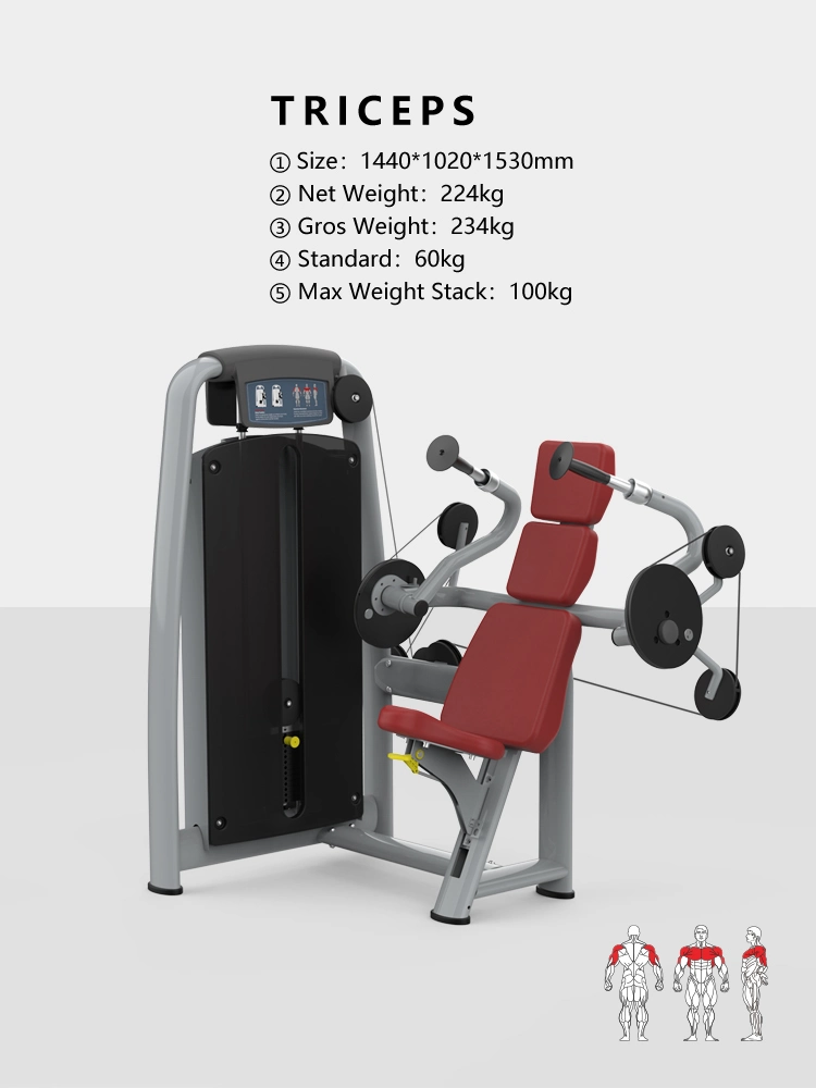 Workout Equipment Triceps Body Sculpture Fitness Equipment for Bodybuilding