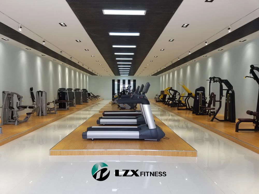 2019 New Design Gym Machine Lzx Fitness Equipment Camber Curl