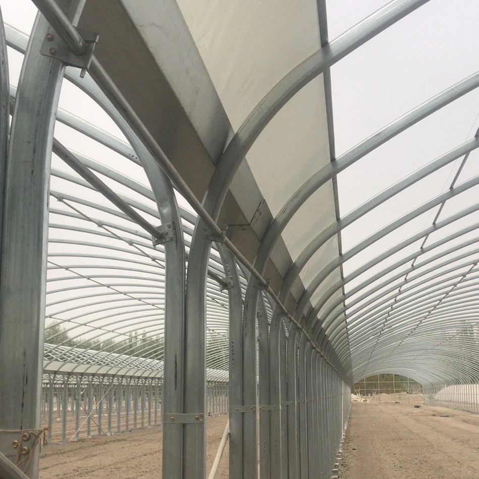 Factory Supply Easily Assembled Elliptical Tube Polytunnel Greenhouse for Sale