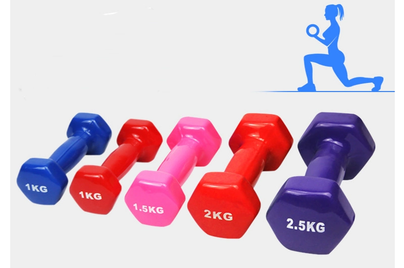 Gym Yoga Exercise Fitness Body Building Sport Portable Dumbbells Gym Equipment