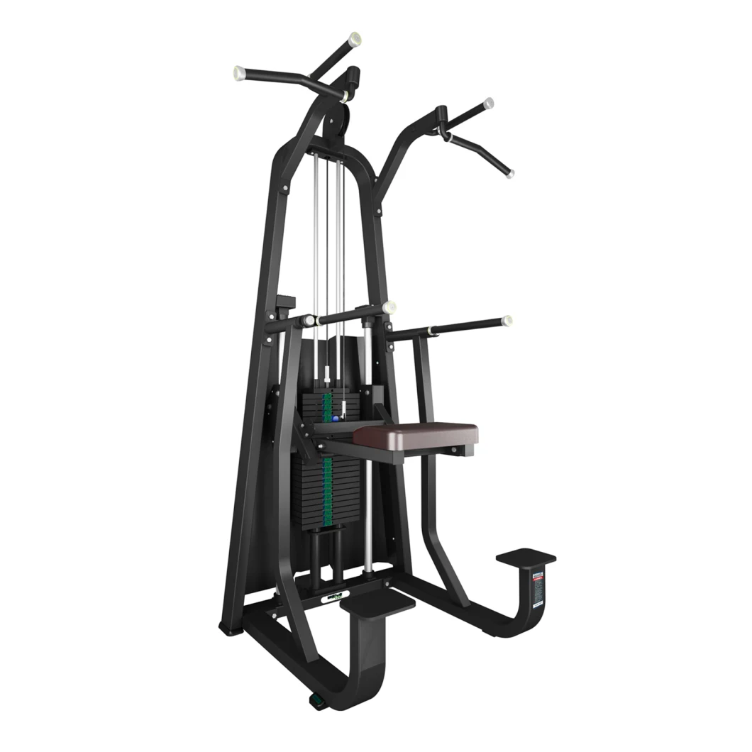 Body Exercise Commercial Fitness Machine Strength Machine DIP Chin Assist Exercise Machine Gym Equipment
