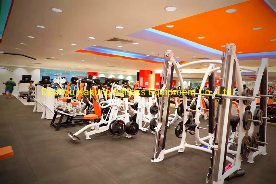 High Quality Hoist Fitness Equipment Inner Thigh & Outer Thigh (SR1-47)