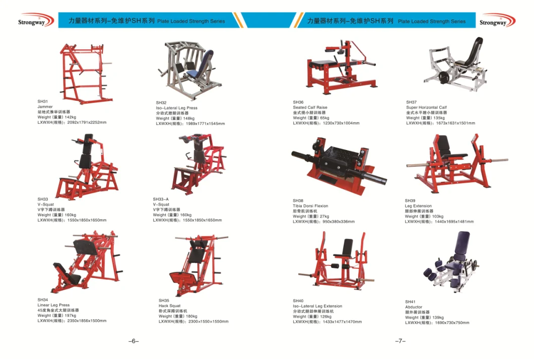 High Quality Weight Bench with Leg Extension Machine Use in Gym Commercial Fitness Equipment