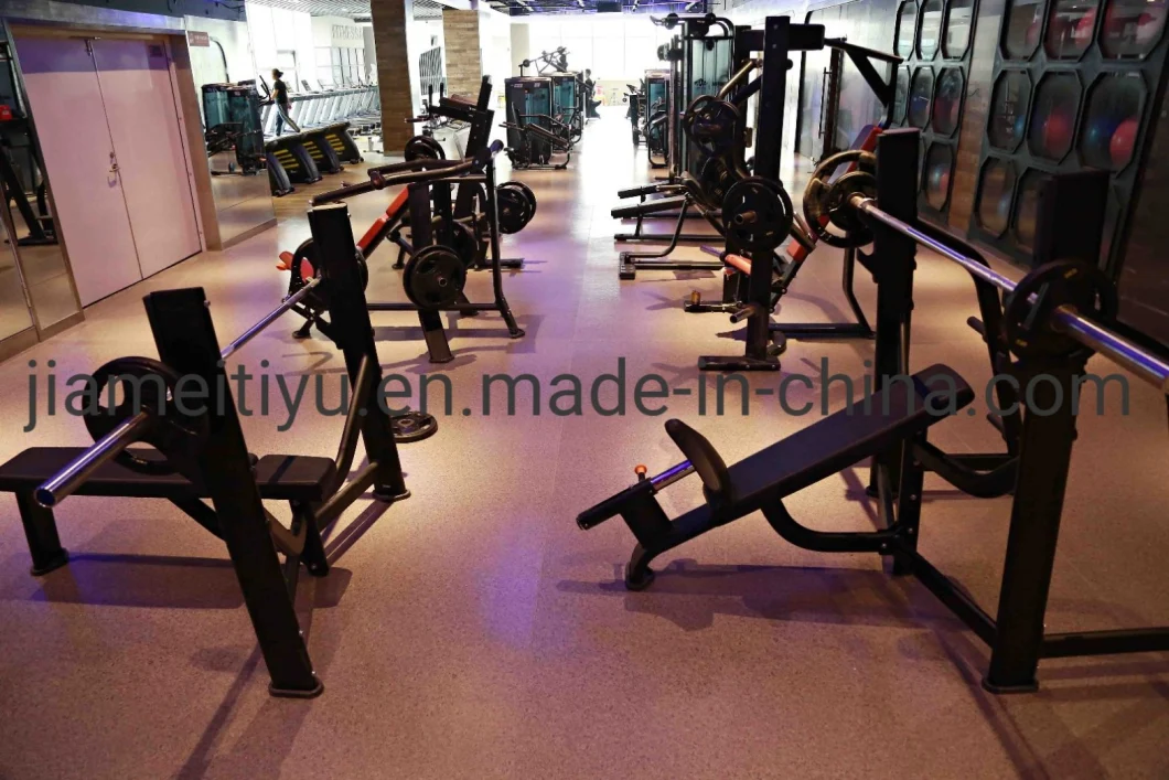 Fitness Equipment/Gym Equipment Twin Tier Dumbbell Rack (V8-201) Gym Equipment