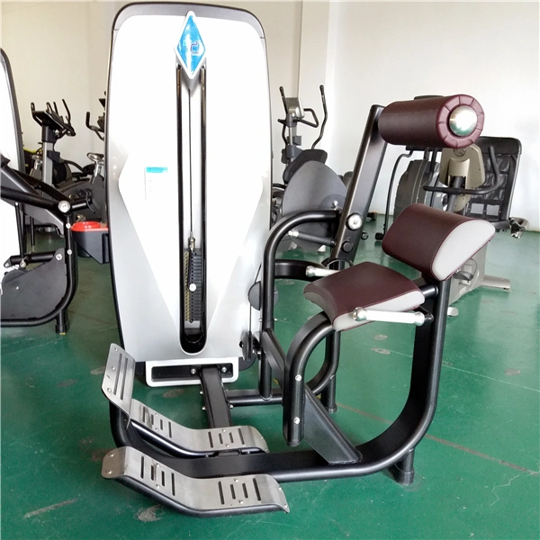 Commercial Gym Equipment/Abdominal Exercise Machines/ Back Extension Tz-9006