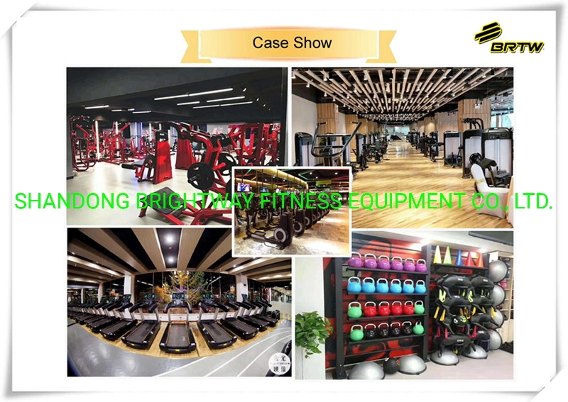 Plate-Loaded Hammer Strength Machine of V Squat for Gymnasium