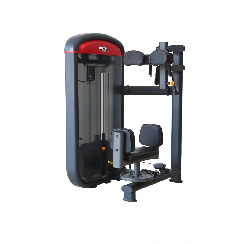 F1 7009 Commercial Strength Waist Rotary Gym Machines Gym Equipment Body Building