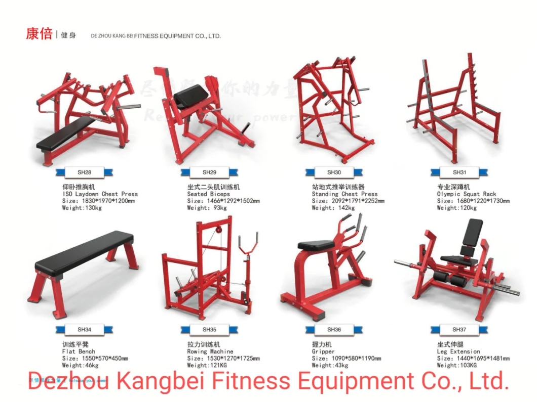 High Quality Best Intergrated Gym Trainer Precor Machine DIP/Chin Assist