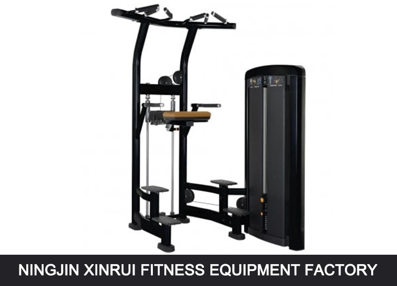 Fitness Equipment Chin/DIP Assist/Without Assist