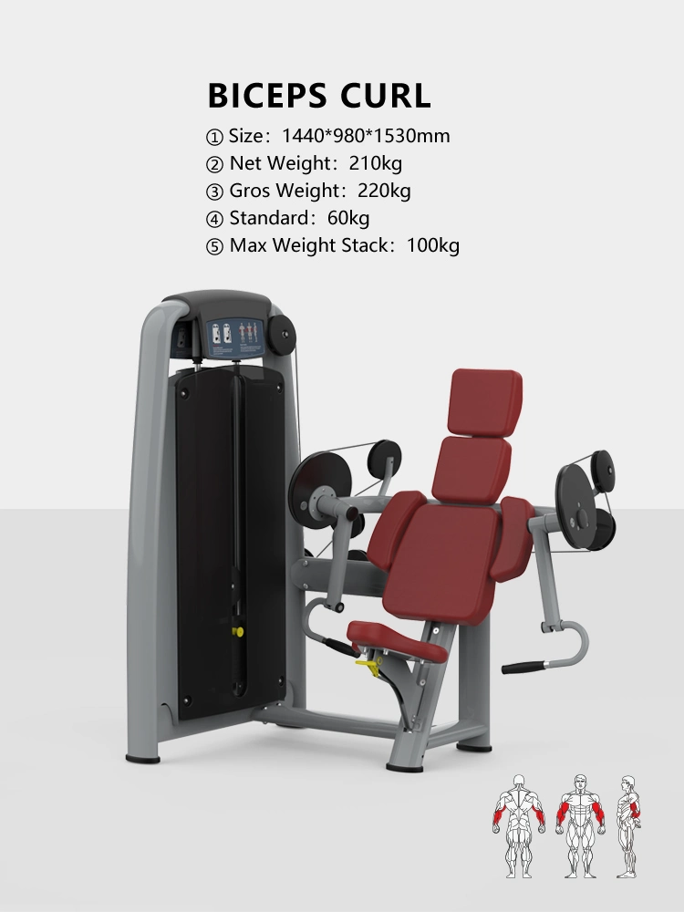 Biceps and Triceps Workout Gym Equipment for Sale, Guangzhou Gym Equipment Manufacture Bft-2003