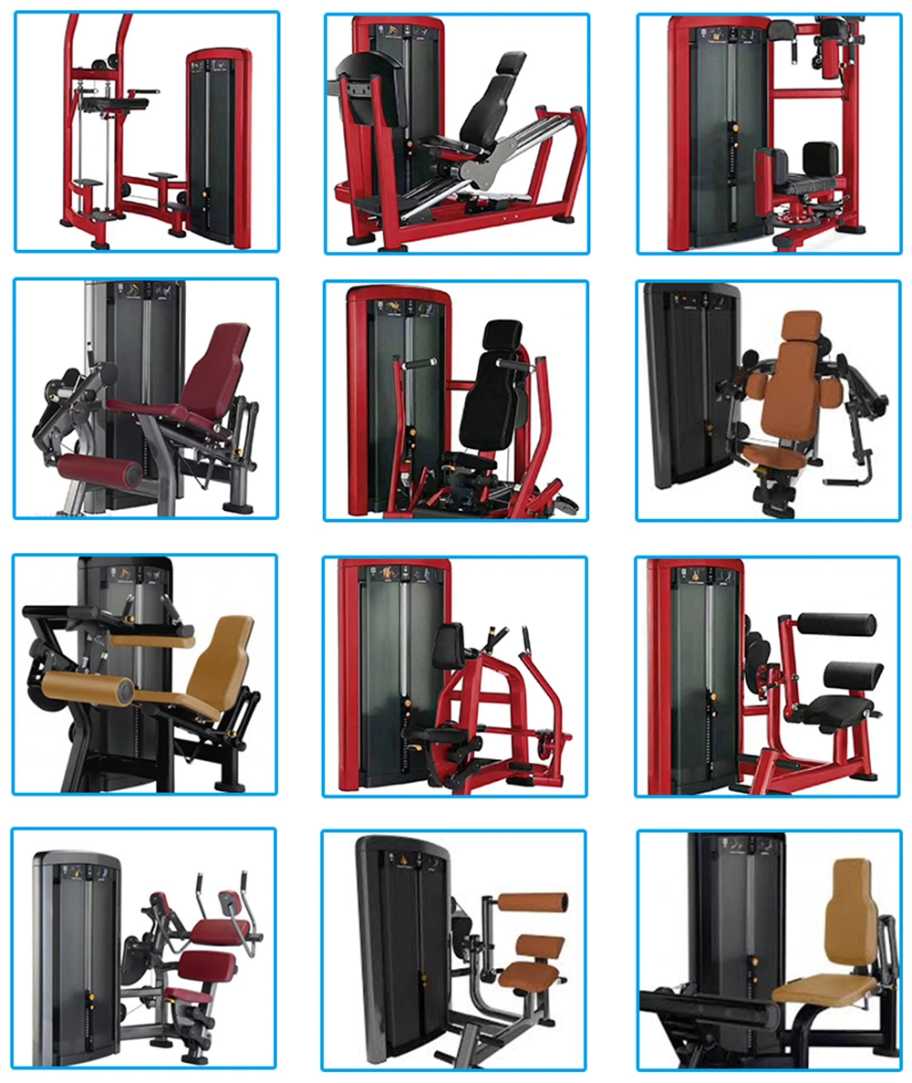 Fitness Equipment / Gym Equipment / Seated Leg Exercise / Seated Leg Curl
