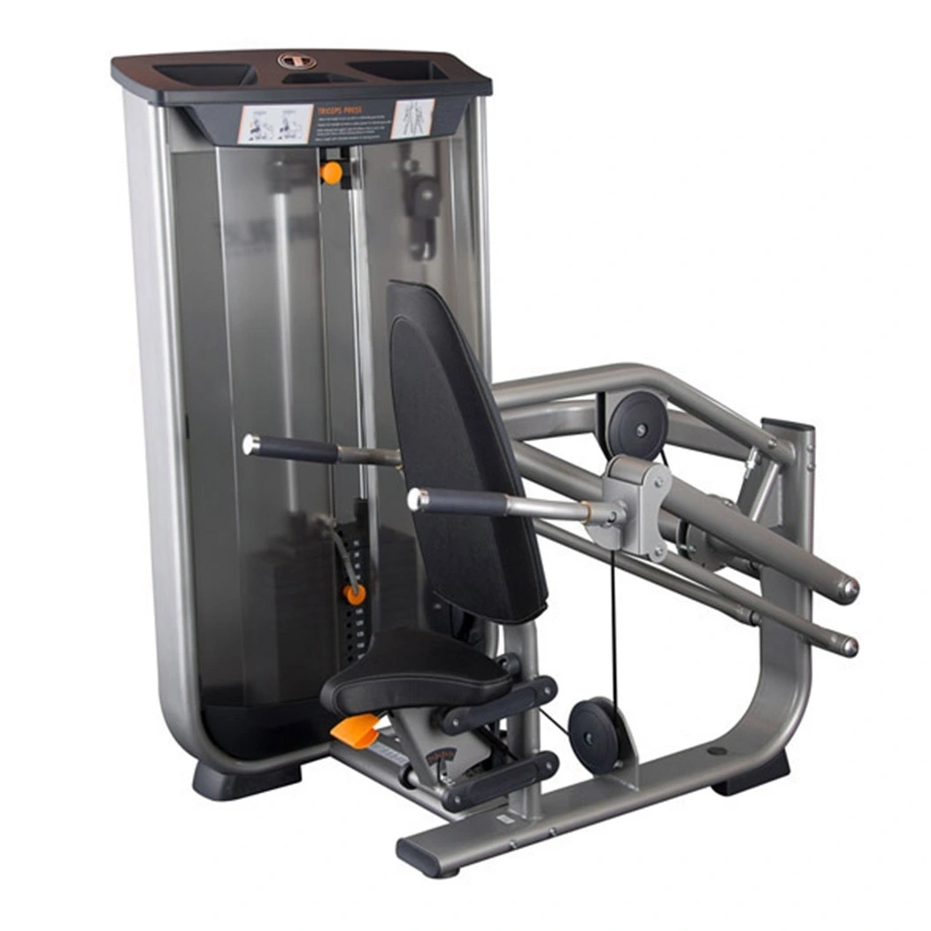 Seated DIP Workout Machines at The Gym