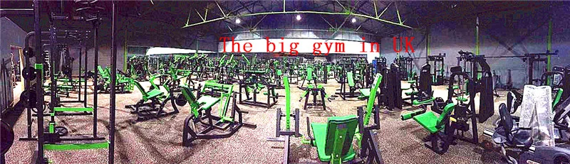 Dezhou Strongway Fitness Plate Loaded Gym Equipment Commercial Bodybuilding Cheat Press