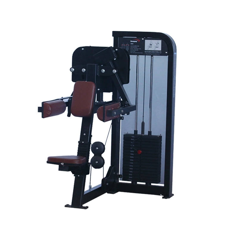 High Quality Popular Gym Fitness Equipment Lateral Raise Machine