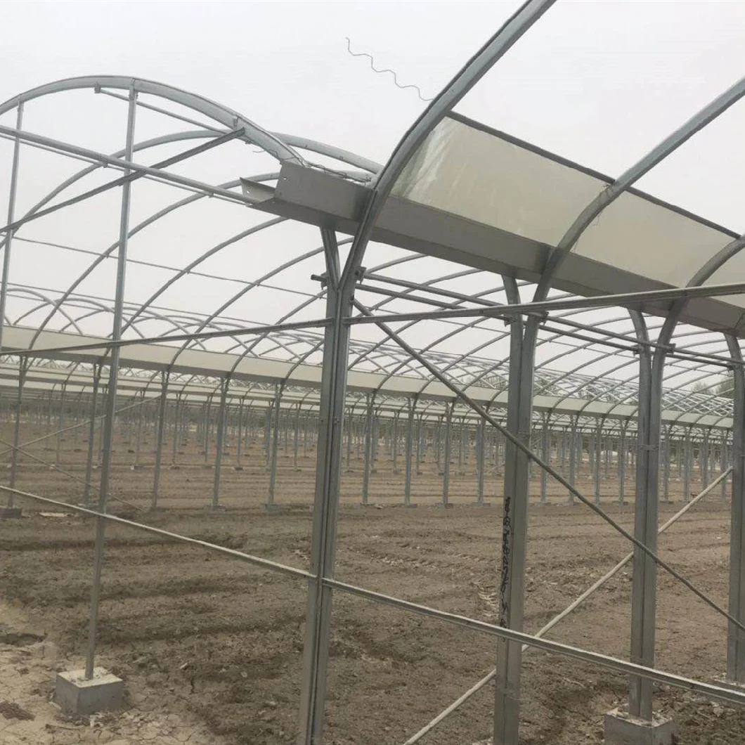 Customized Elliptical Tube Steady Film Greenhouse with Gutter for Promotion