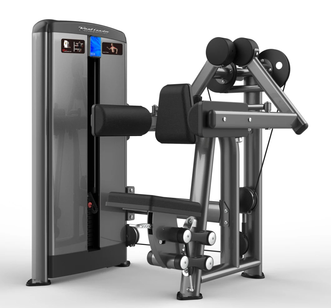 Professional Gym Use Fitness Equipment Lateral Raise (M7-1002)