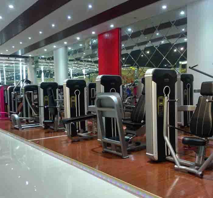 Hammer Strength Machine Low Row Gym Machine