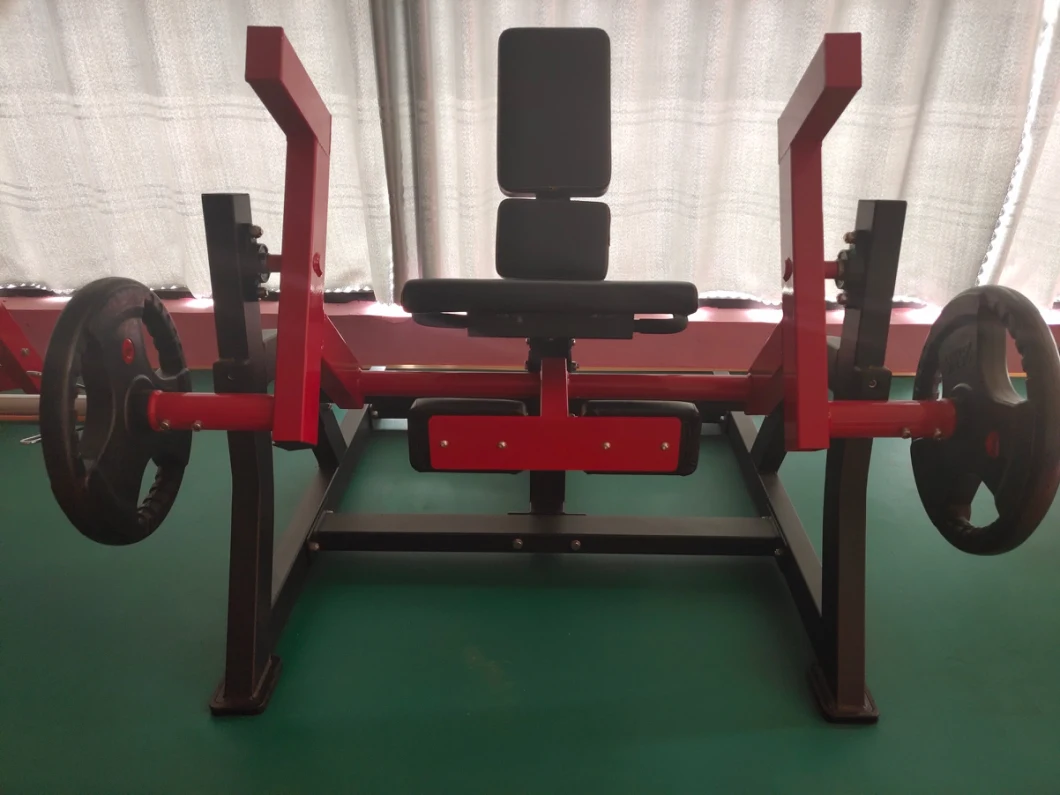 Body Building Strength Training Fitness Equipment Hot Selling Gym Equipment Kneeling Leg Curl