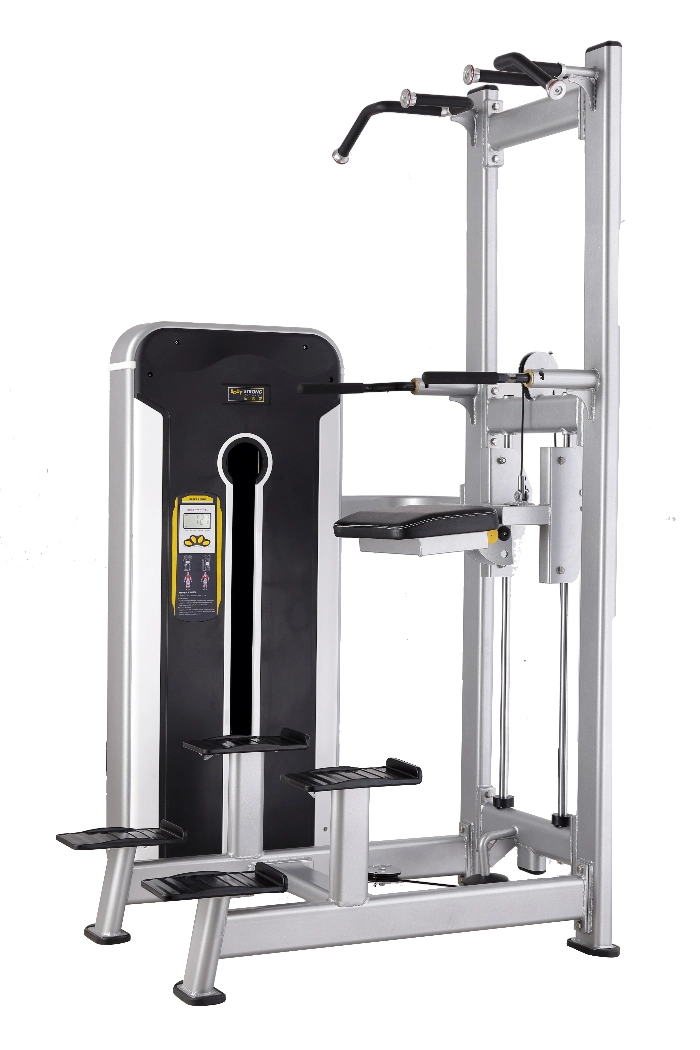 Assist DIP Chin Body Building Fitness Equipment