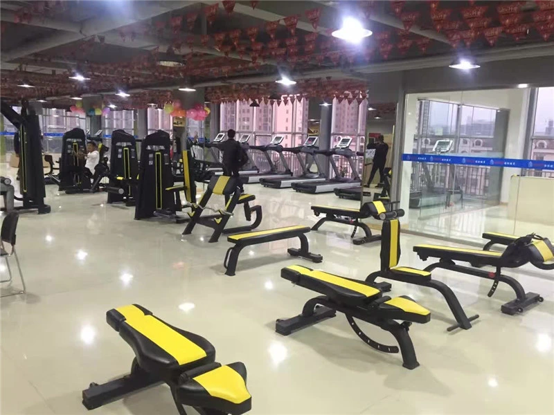 Xinrui Professional Gym Equipment Directly Export Super Bench/Adjustable Bench