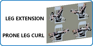 Double Function Fitness Equipment of Prone Leg Curl / Leg Extension (PF-1007)