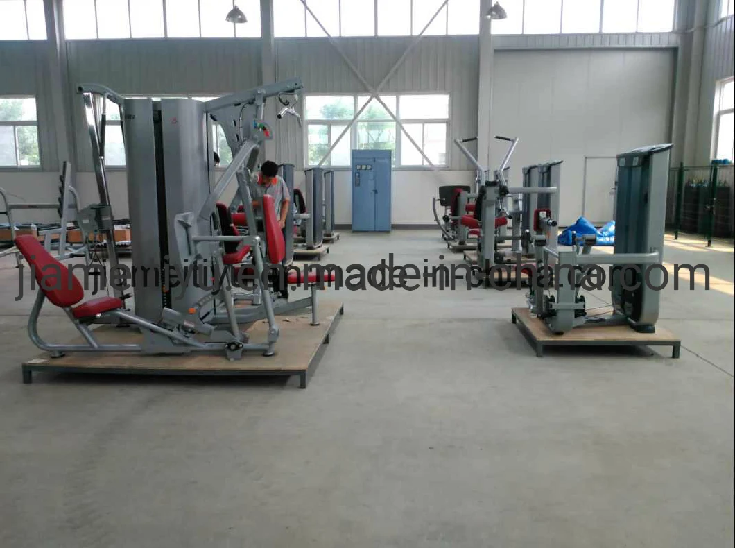 Fitness Equipment/Gym Equipment Twin Tier Dumbbell Rack (V8-201) Gym Equipment