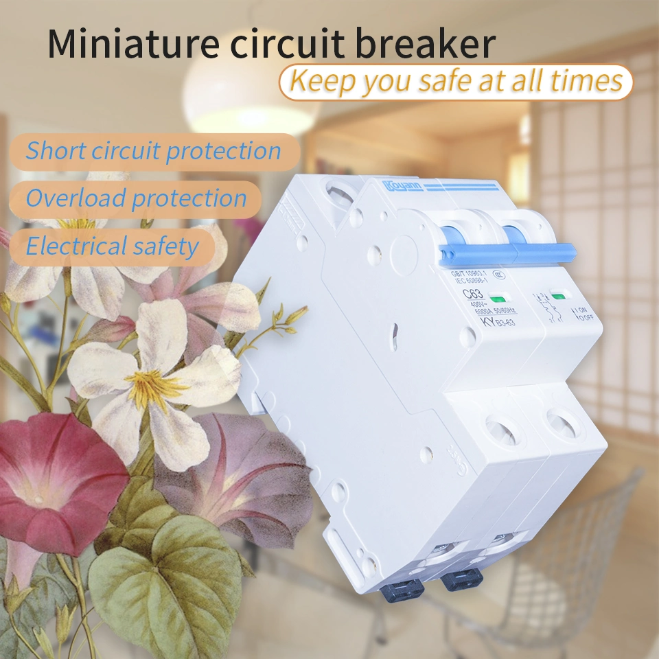 Professional Chinese Supplier Prefab Houses China Circuit Breaker Miniature Circuit Breaker MCB