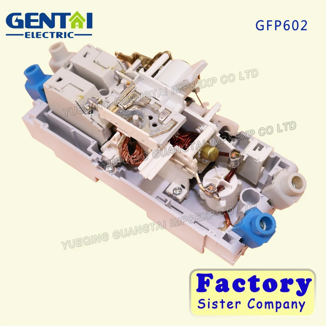 Gfp602 China Supplier 2 Pole 4 Pole Adjustable Residual Current Circuit Breaker Disjoncteur Differentiel