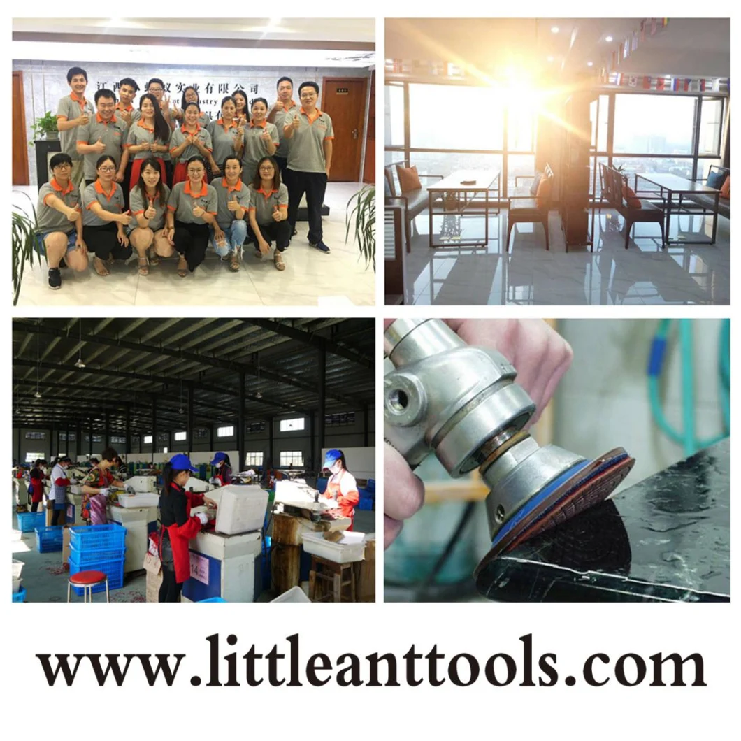 China Manufacturer From Little Ant Metal Grinding Plate and Circular Grinding Plate for Concrete