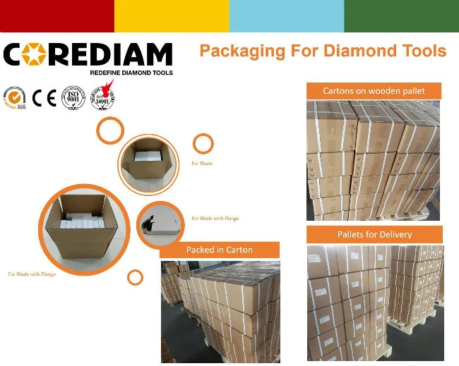 Diamond Grinding Head with 4 Segments for Concrete and Masonry/Grinding Plate/Diamond Tool