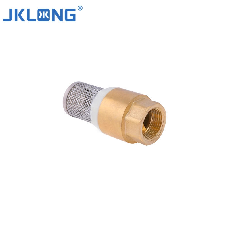 Top Sale Chinese Factory Female Thread Brass Water Foot Valve Brass Spring Check Valve