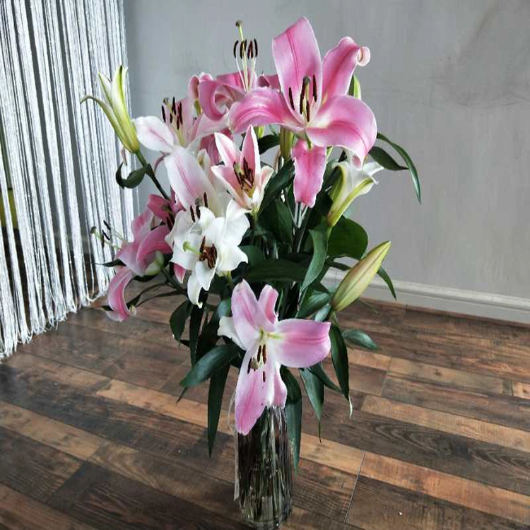 Reliable Chinese Supplier Fresh Cut Flower Pink Lily for Decoration