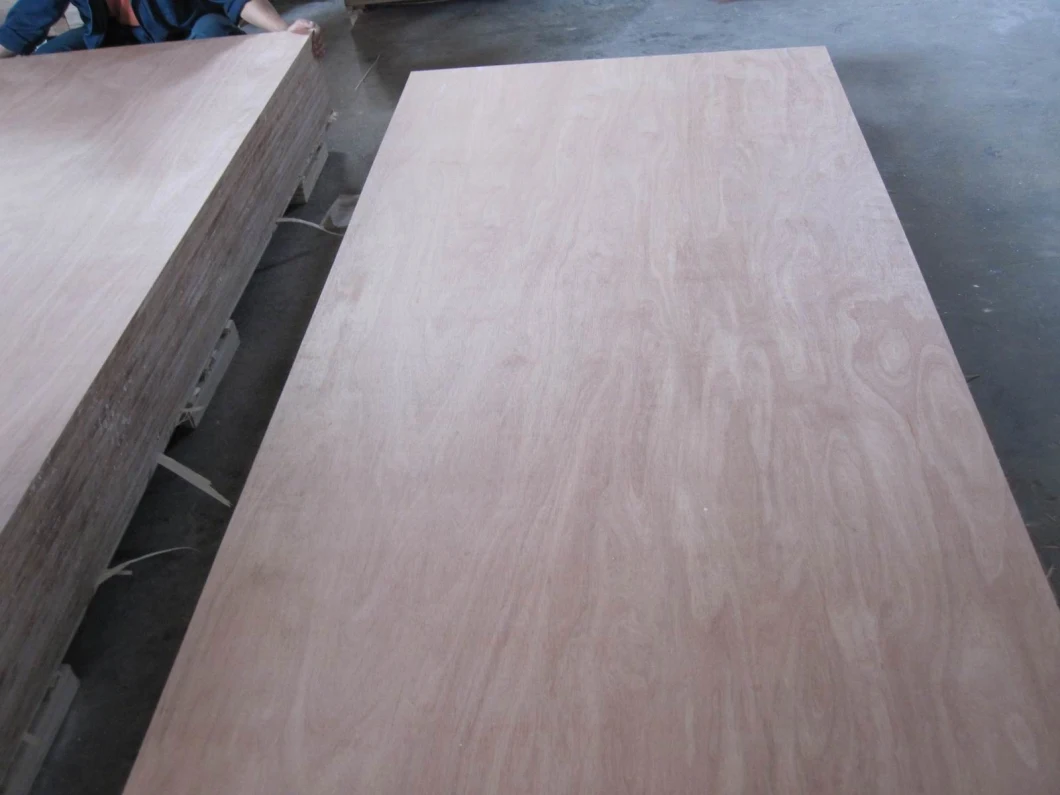 Factory-Pencil Cedar Veneer Furniture Plywood with Combe in 12mm 15mm 18mm