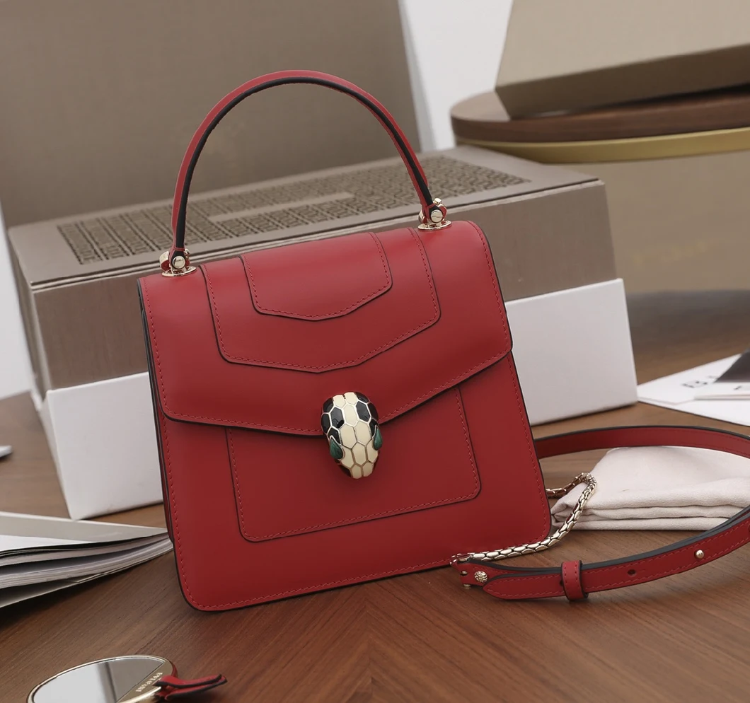 Original 2021 Topest Luxury Designer Purse Inspired Bag for Women Accessories Top