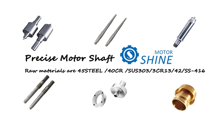 Stainless Steel Electric Motor Rotor Shaft with Gear/ Aluminum Shaft Adapter for Motor