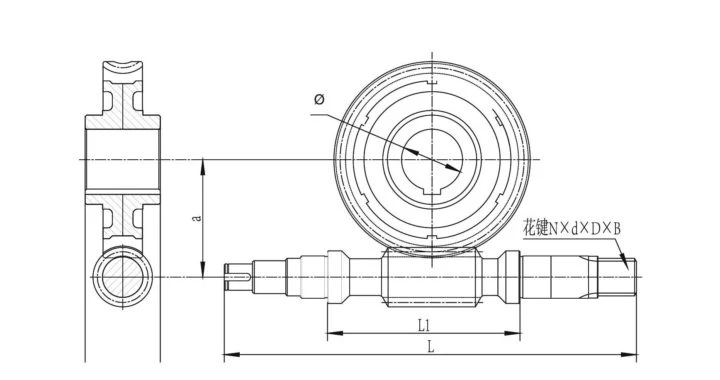 Processing Various Lift Rack/Planetary Gear High-Precision Gear Worm