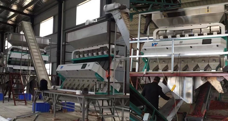 8 Chutes 512 Channels Color Sorting for Black White Cashew Nut Processing Machine