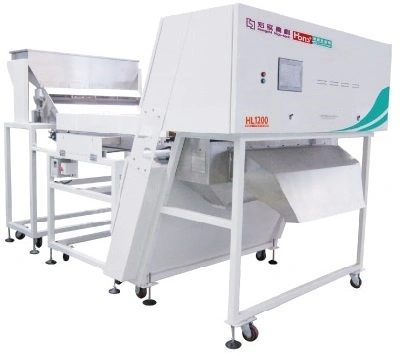 Fully Automatic Pine Nut Belt Color Sorter Machine Pine Nut Processing Machine in Hefei, China