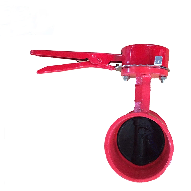 4 Inch Dn100 Pn16 Screw Type Stainless Steel Butterfly Valve with Worm Gear