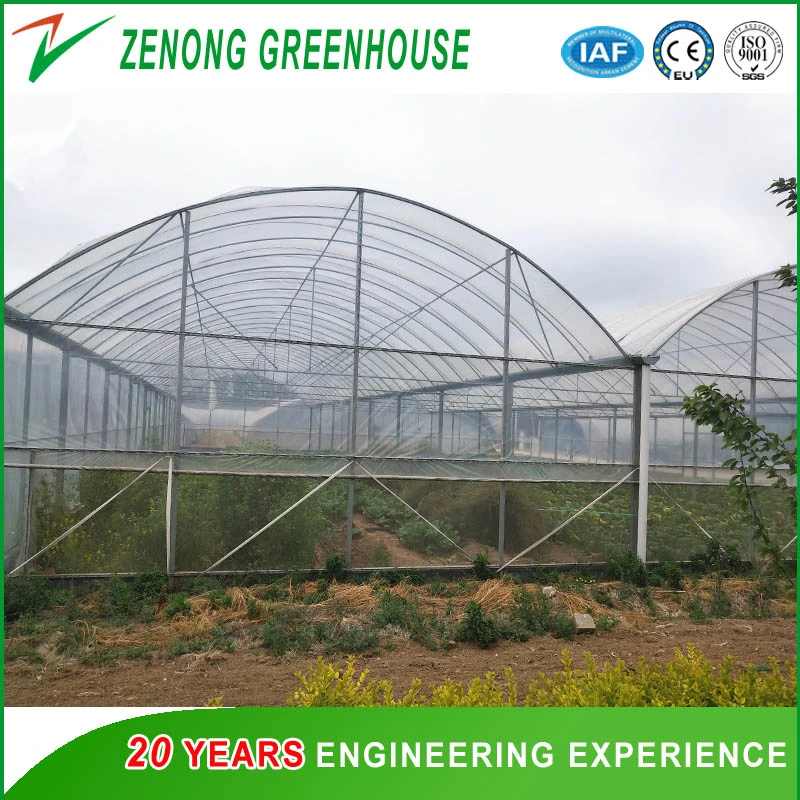 Flower Plastic Film Multi-Span Greenhouse with External Shading Net/Irrigation/Cooling Pad